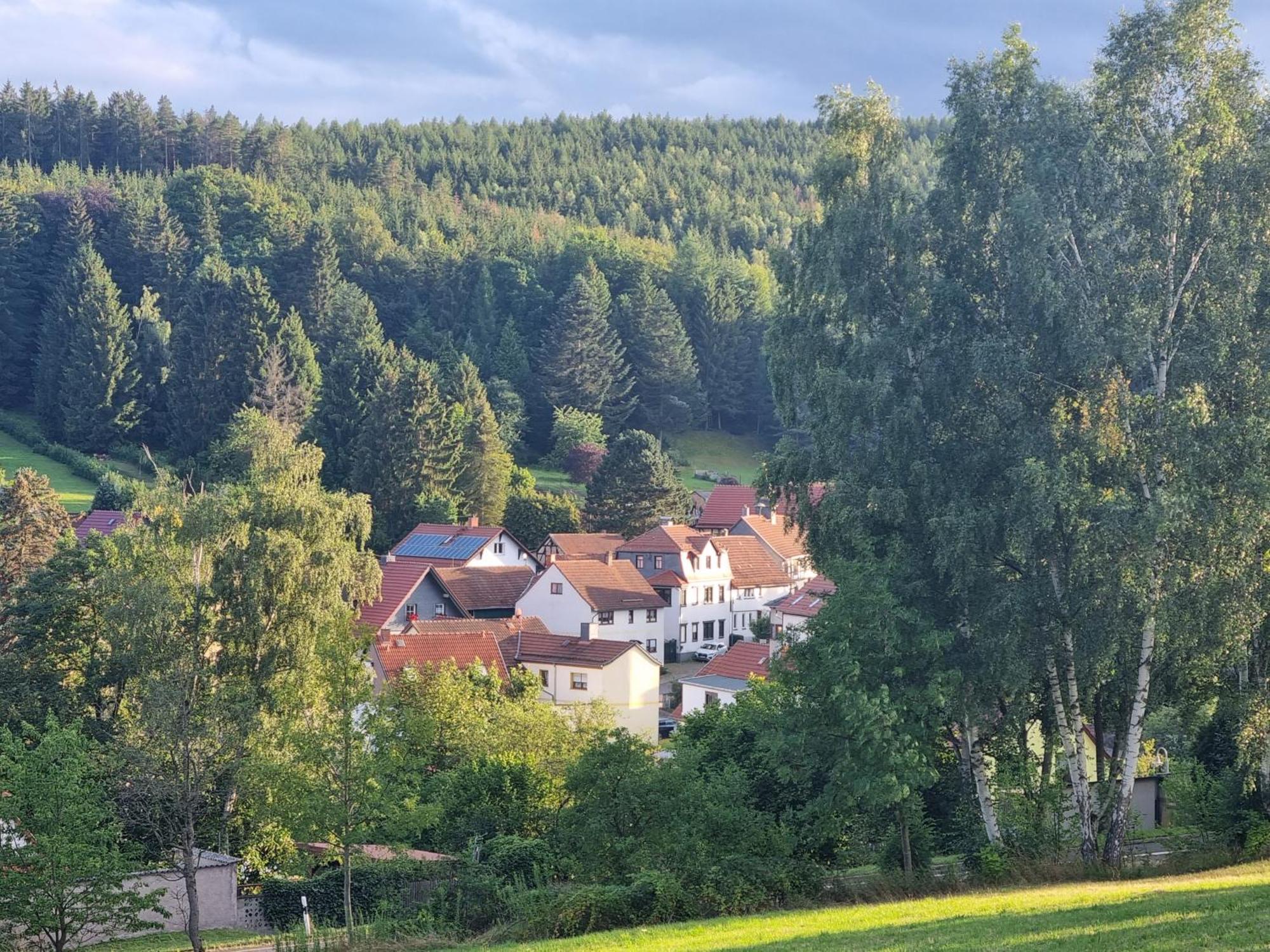 Superior - Ferienhaus Am Engelsbach Im Thueringer Wald Bagian luar foto